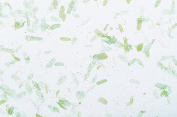 The High resolution handmade recycled leaf paper background.