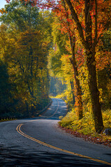 road in autumn forest