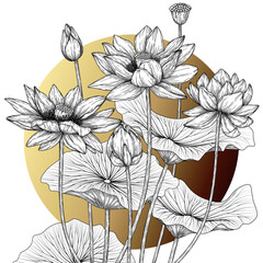 Vector illustration of lotus bush in engraving style