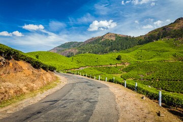Kerala India travel background - road in green tea plantations in mountains in Munnar, Kerala, India