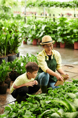 Mother Showing Plants to Little Son