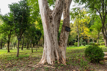 樹木公園　秋の風景