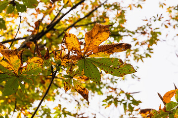 樹木公園　秋の風景