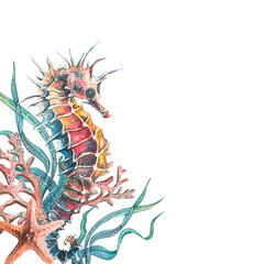 A seahorse with corals, algae and a starfish. Watercolor illustration. For decoration and design of summer, beach, souvenirs, menus, posters © NATASHA-CHU