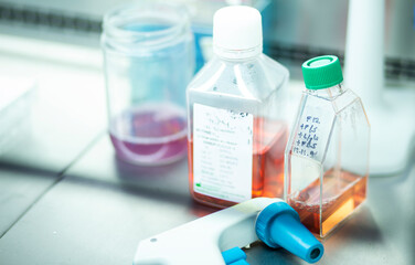 medicine, medical, cell culture and biology laboratory photo