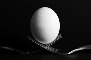 Egg on black background 