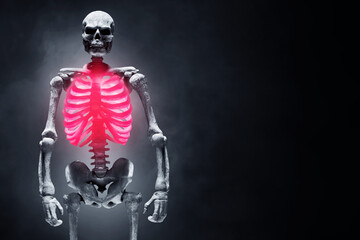Fototapeta na wymiar Human skeleton on dark background
