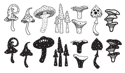 Set of the different magical mushrooms, vector celestial art