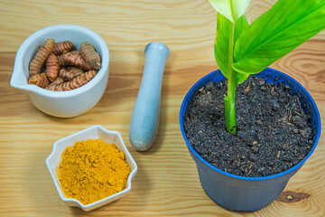 turmeric, plant, roots and powder