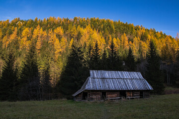 szałas pasterski w górach krajobraz jesienny kolory Tatry  