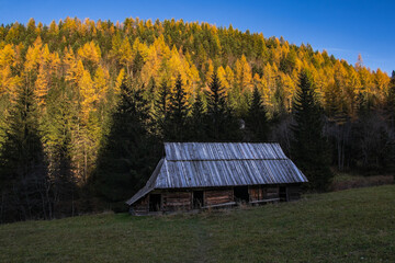 szałas pasterski w górach krajobraz jesienny kolory Tatry  