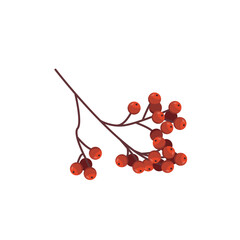 Red mountain ash. Vector cartoon illustration on a white background