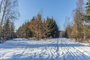 snowy nature in the cold season