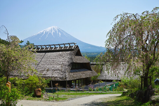 Iyashi shop