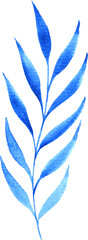 Blue leaves. Watercolor illustration. Isolated on transparent. Beautiful decoration for your design.