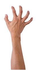 hands of the person isolated and save as to PNG file
