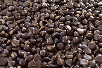 A group of shiny brown chestnuts. Typical fall image and background