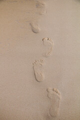 Footprints on the sandy beach by the ocean. - 542457099