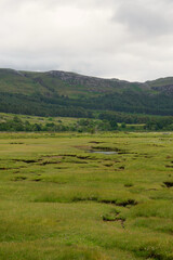 Fototapeta na wymiar The bog at Dundonnell, Scotland. Near Little Loch Broom in the Scottish Highlands.