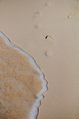 Footprints on the sandy beach by the ocean. - 542457634