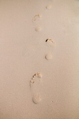 Footprints on the sandy beach by the ocean. - 542457675