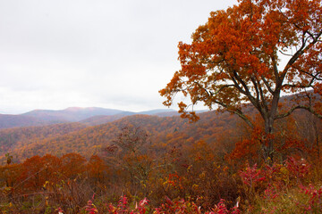autumn landscape in the mountains