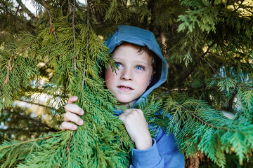 Scared kid near coniferous tree
