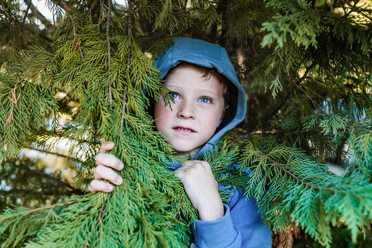 Scared kid near coniferous tree