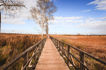 The Lake Federsee near Bad Buchau, Baden-W&uuml;rttemberg, Germany, Europe