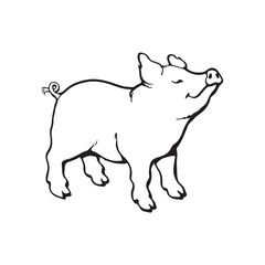 Pig PNG Format With Transparent Background