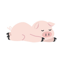 Pig PNG Format With Transparent Background
