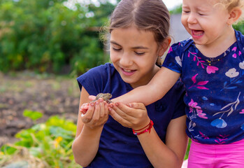 girl hold a toad in the palm of her hand. Selective focus