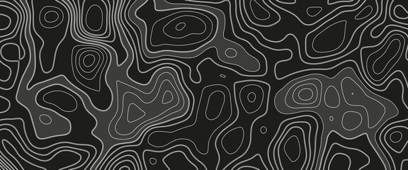 Abstract topographic map background. Imitation of a geographical map. Geographic map conceptual design. Elegant background for presentations. White topography on black background.Papercut style design