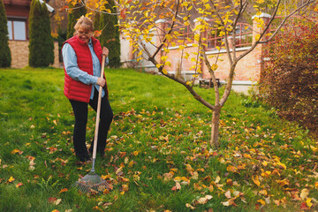 Woman in red vest holding rake. Gardening during fall season. Cleaning lawn from leaves Raking...