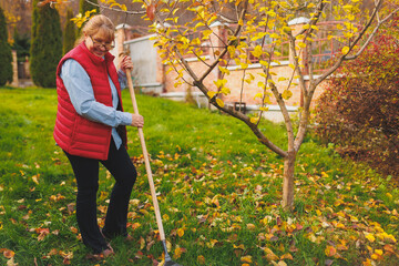 Woman in red vest holding rake. Gardening during fall season. Cleaning lawn from leaves Raking fallen leaves in the garden.