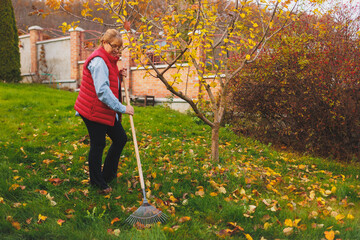 Woman in red vest holding rake. Gardening during fall season. Cleaning lawn from leaves Raking fallen leaves in the garden. - obrazy, fototapety, plakaty