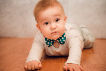 Fototapeta premium portrait of a baby