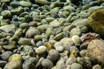 Small round rocks or pebbles covered with green algae, closeup underwater photo