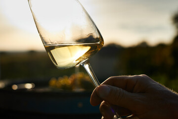 Close-up of a sommelier with a glass of white wine at sunset - obrazy, fototapety, plakaty