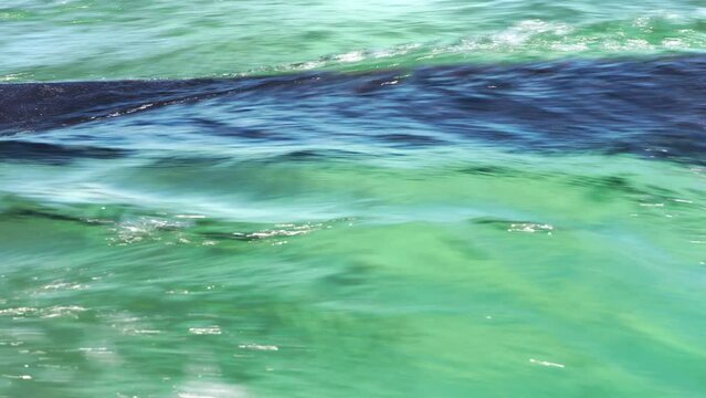 Looking to wooden pole of pirogue - typical Madagascar small fishing boat - sailing over clear green sea water, closeup detail