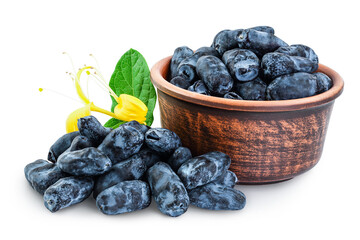 Fresh honeysuckle blue berry in ceramic bowl isolated on white background with full depth of field
