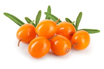 Sea buckthorn. Fresh ripe berry isolated on white background macro