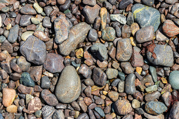 Stones polished by the wave action of the sea on Jasper Beach, near Bucks Harbor, Maine
