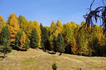 Hiking trail in South Tyrol in the Martell Valley