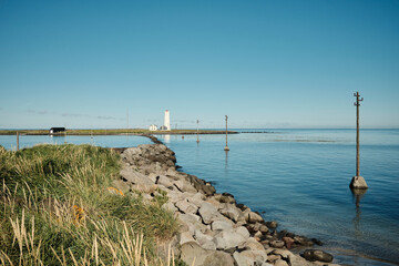 Obraz premium Grass and rocks on shore of calm sea