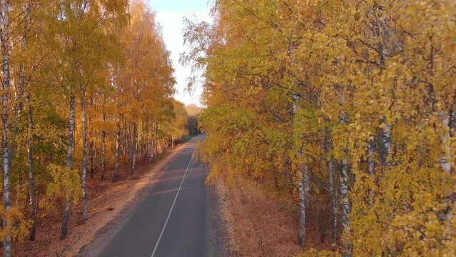Flying over the road through the autumn forest