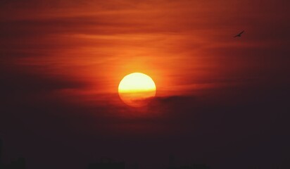 Beauty of rising sun
