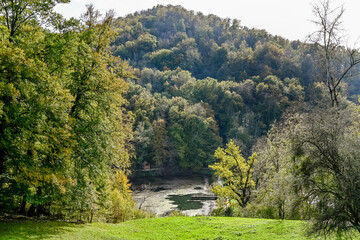 Arlesheim, Ermitage, Oberer Weiher, Weiher, Seerose, See, Baselland, Waldweg, Wanderweg, Spazierweg, Ausflugsort, Kraftort, Sommer, Schweiz