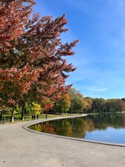 Naklejka premium Mont Royal Park in Montreal