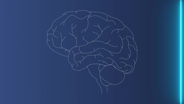 Brain scan concept, animated video in 4k. brain research. The gradual development of a linear image on a dark background. Motion design template